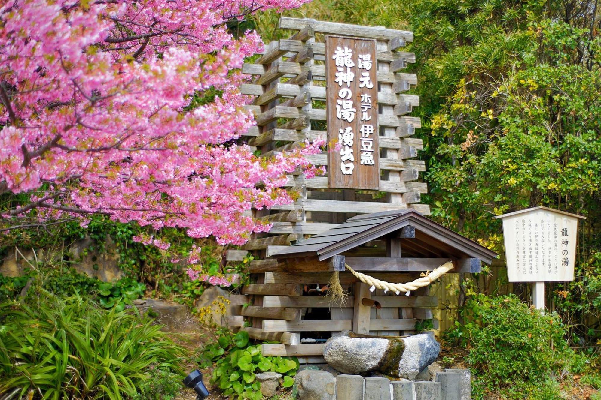 Hotel Izukyu Shizuoka Eksteriør billede