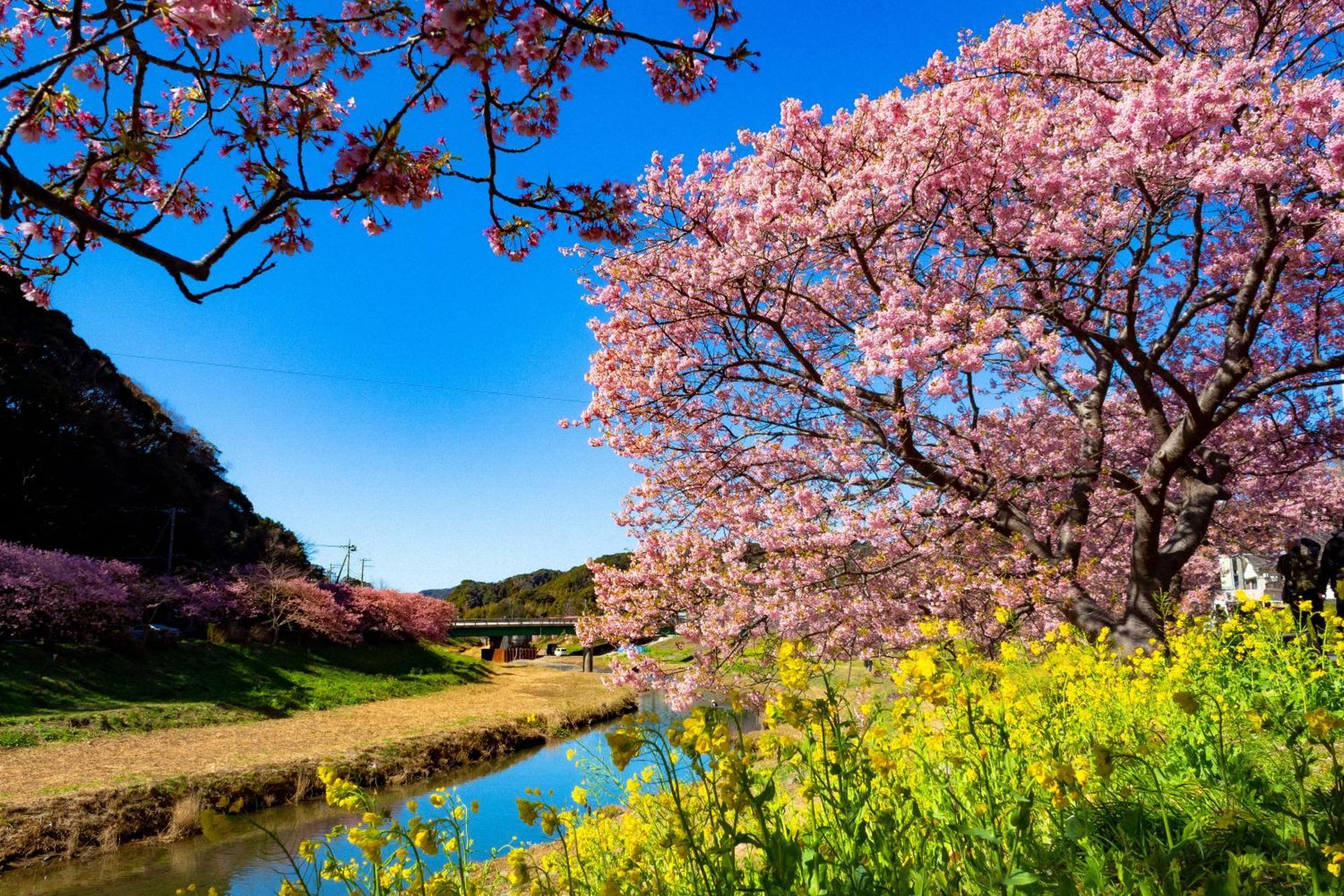 Hotel Izukyu Shizuoka Eksteriør billede