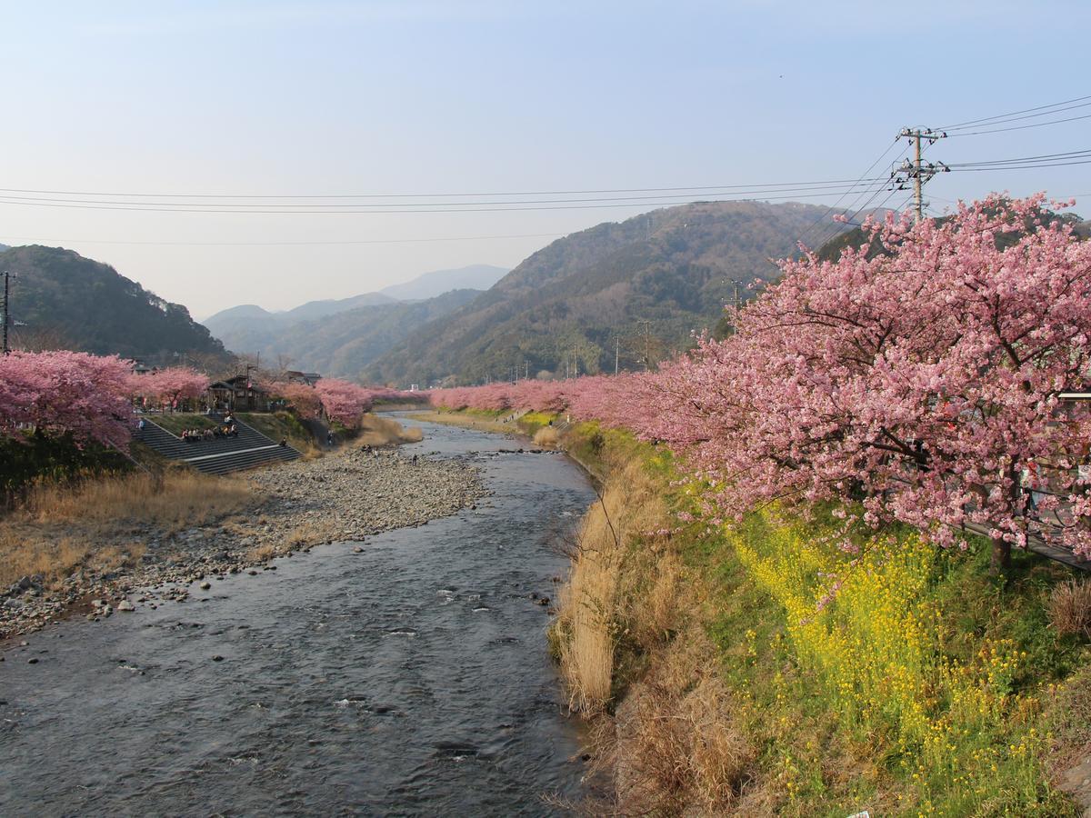 Hotel Izukyu Shizuoka Eksteriør billede